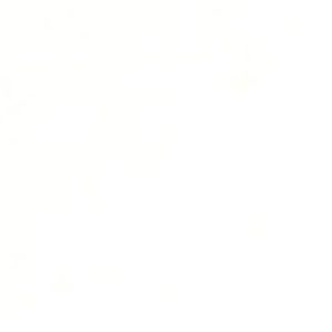 Dynasty Matt White Non-Rectified 300x100